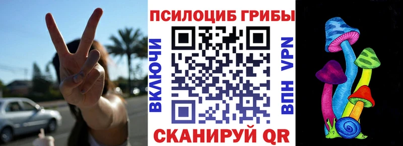 Псилоцибиновые грибы MAGIC MUSHROOMS мориарти Telegram Назарово